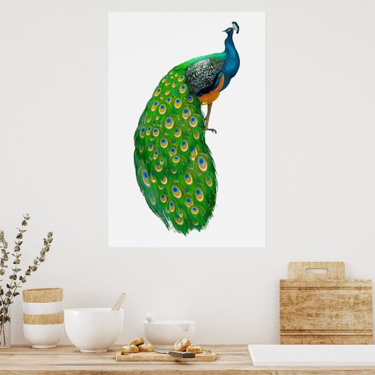 Peacock Poster (Keuken)