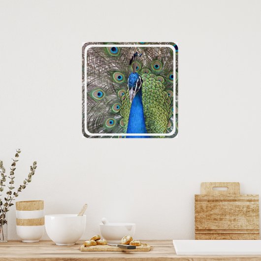 Peacock Poster afdrukken (Keuken)