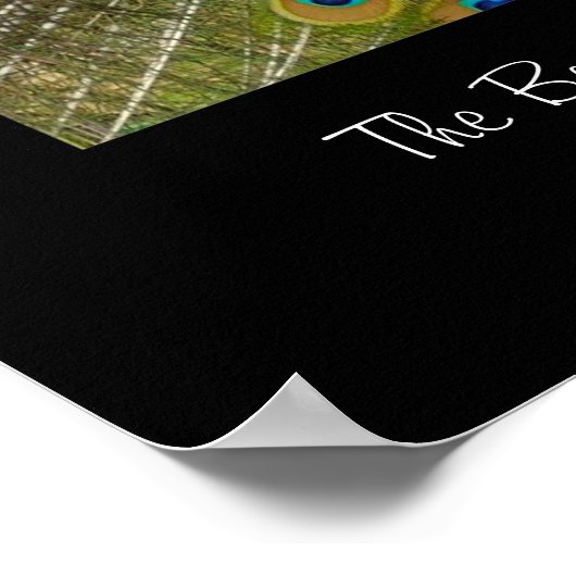 Peacock Poster afdrukken (Hoek)