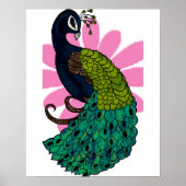 Peacock Poster afdrukken (Voorkant)