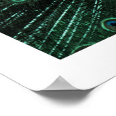 Peacock-Poster Poster (Hoek)