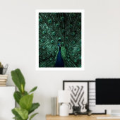 Peacock-Poster Poster (Thuiskantoor)