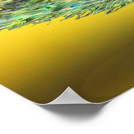 Peacock-Poster Poster (Hoek)