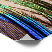 Peacock-Poster Poster (Hoek)