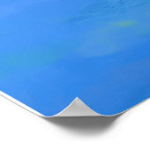 Peacock-Poster Poster (Hoek)