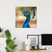 Peacock-Poster Poster (Thuiskantoor)