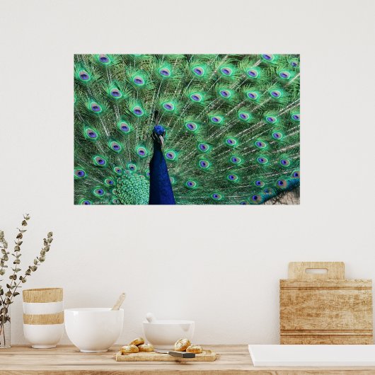 Peacock-Poster Poster (Keuken)