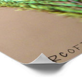 Peacock-Poster Poster (Hoek)