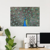 Peacock-Poster Poster (Thuiskantoor)