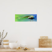 Peacock-Poster Poster (Keuken)