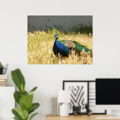 Peacock Print (Thuiskantoor)