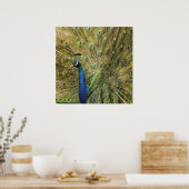 Peacock Print (Keuken)