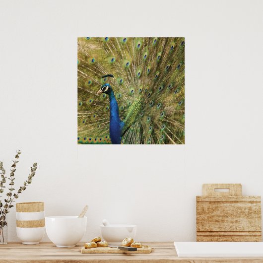 Peacock Print (Keuken)