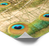 Peacock Print (Hoek)