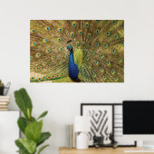 Peacock Print (Thuiskantoor)