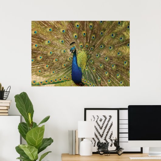 Peacock Print (Thuiskantoor)