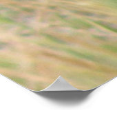 Peacock Print (Hoek)