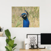 Peacock Print (Thuiskantoor)