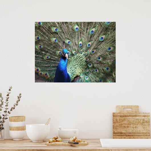 Peacock Print (Keuken)