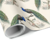 Peacock Print Cadeaupapier (Rol Hoek)