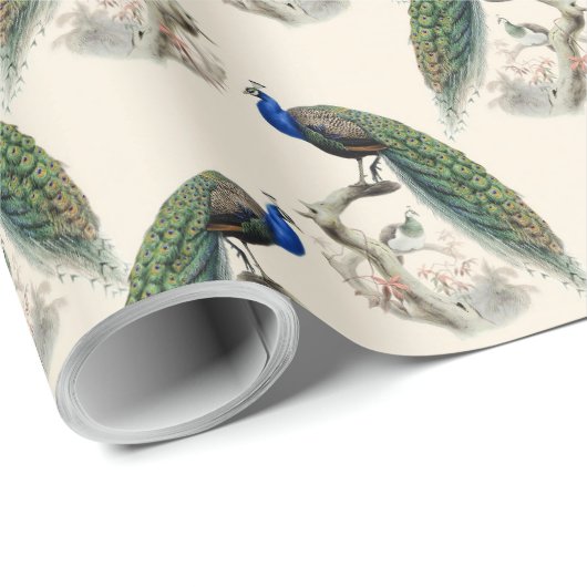 Peacock Print Cadeaupapier (Rol Hoek)