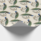 Peacock Print Cadeaupapier (Hoek)