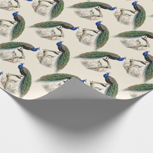 Peacock Print Cadeaupapier (Hoek)