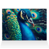 Peacock profiel leeg binnenin (Binnen Horizontaal (Boven))