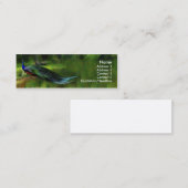 Peacock-profiel / visitekaartje (Voorkant / Achterkant)