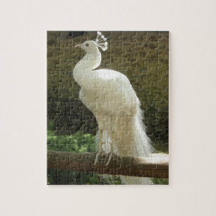 Peacock Puzzle Legpuzzel