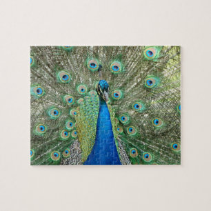 Peacock Puzzle Legpuzzel