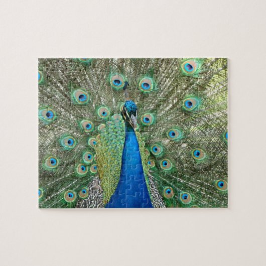 Peacock Puzzle Legpuzzel (Horizontaal)
