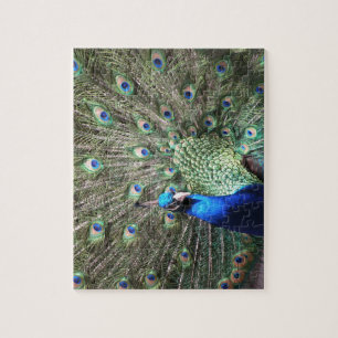 Peacock puzzle legpuzzel