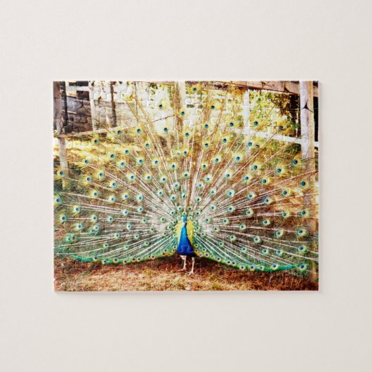 Peacock Puzzle Legpuzzel (Horizontaal)