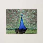 Peacock Puzzle Legpuzzel (Horizontaal)