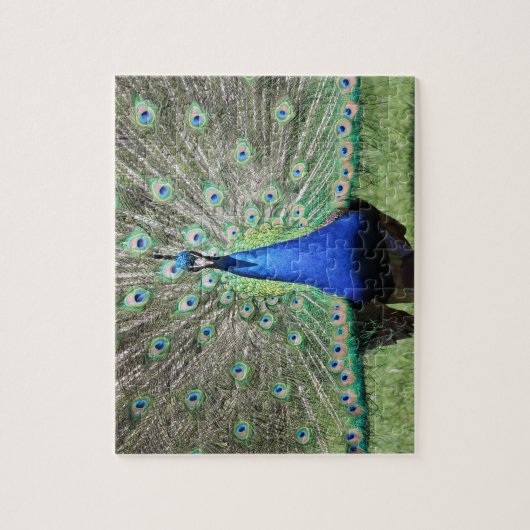 Peacock Puzzle Legpuzzel (Verticaal)