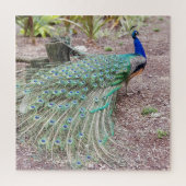 Peacock puzzle legpuzzel (Verticaal)