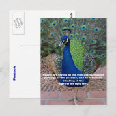 Peacock Quote Briefkaart (Voorkant / Achterkant)