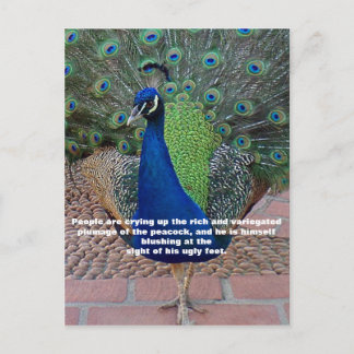 Peacock Quote Briefkaart
