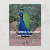 Peacock Quote Briefkaart (Voorkant)