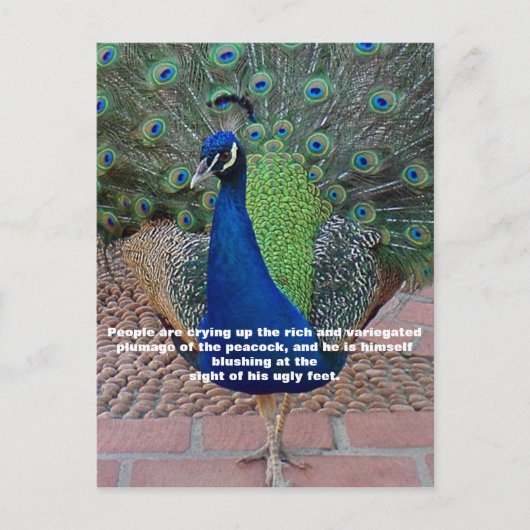 Peacock Quote Briefkaart (Voorkant)