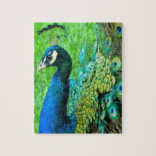 Peacock Radiance Puzzle Legpuzzel (Verticaal)