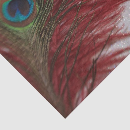 Peacock Red en White Tissuepapier (Detail)