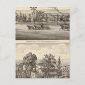 Peacock res, Willow Glen Briefkaart (Voorkant)