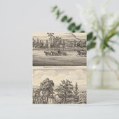 Peacock res, Willow Glen Briefkaart (Staand voorkant)