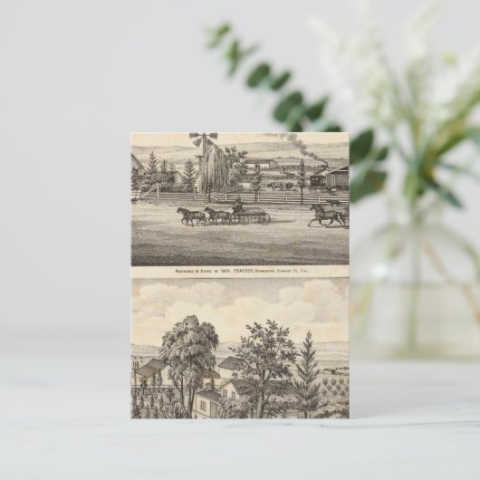 Peacock res, Willow Glen Briefkaart (Staand voorkant)