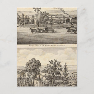 Peacock res, Willow Glen Briefkaart