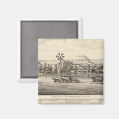 Peacock res, Willow Glen Magneet (Voorkant / Achterkant)