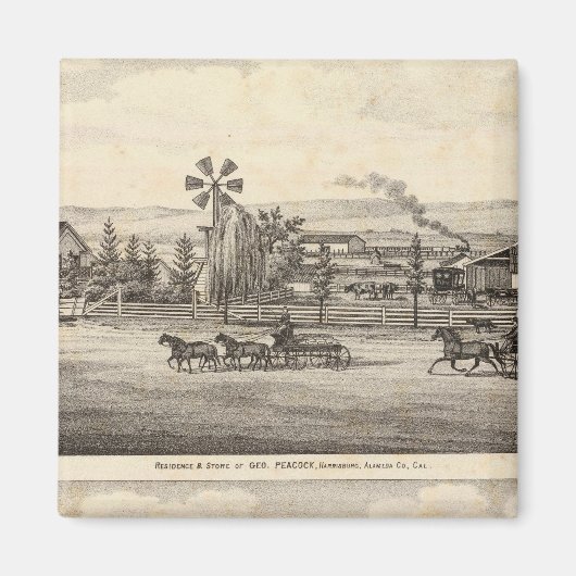 Peacock res, Willow Glen Magneet (Voorkant)