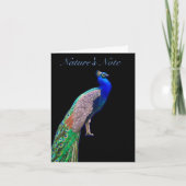 PEACOCK RESTING FOTO PHEASANT NOTE KAART (Voorkant)